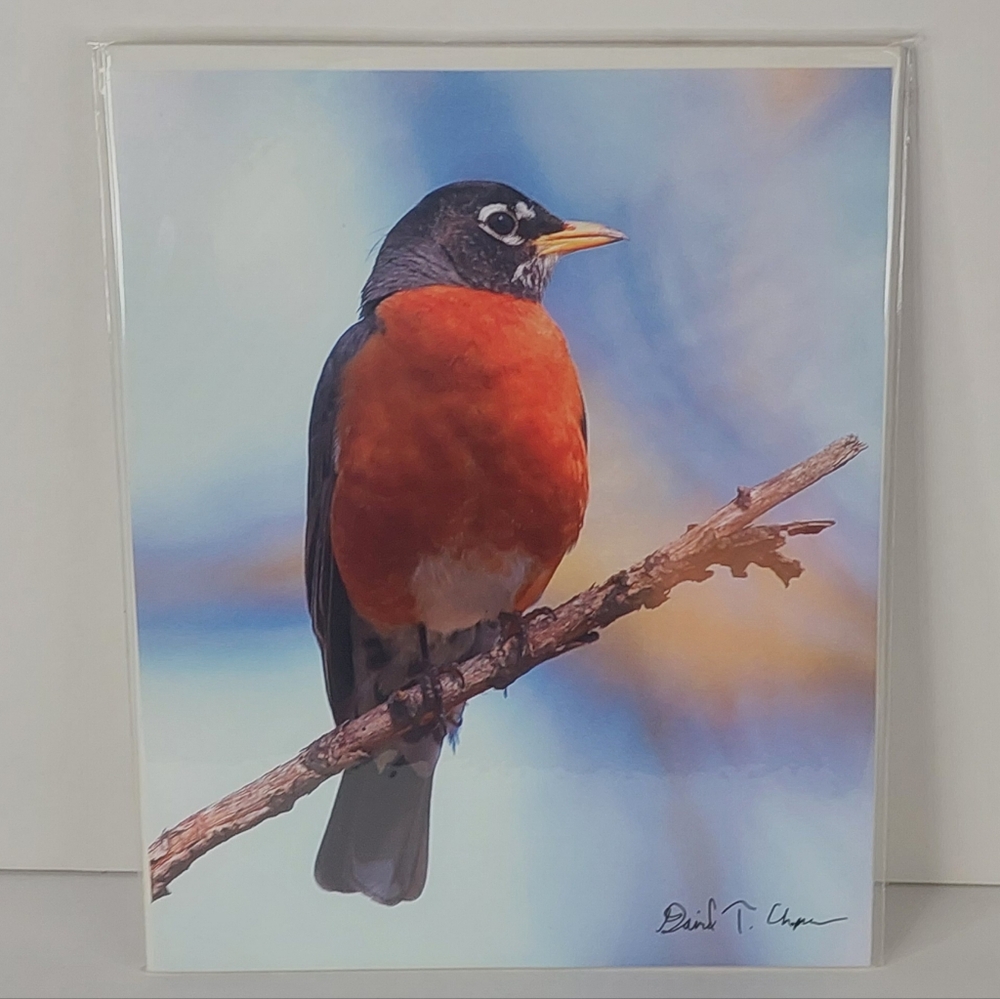 'A Friendly Backyard Visitor' 8" X 10" Fine Art Archival Print